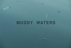MUDDY WATERS